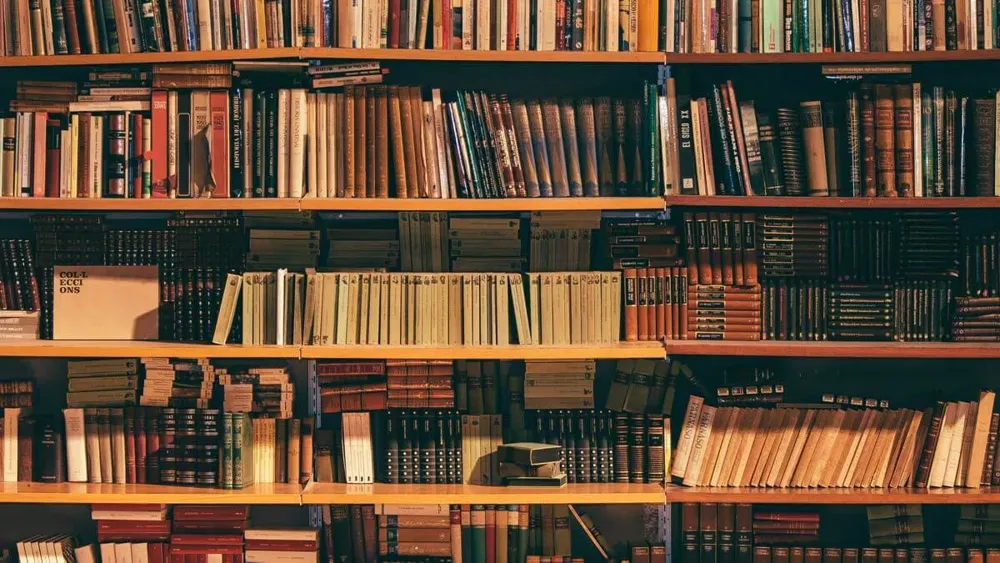 Bookshelves filled with research and stories